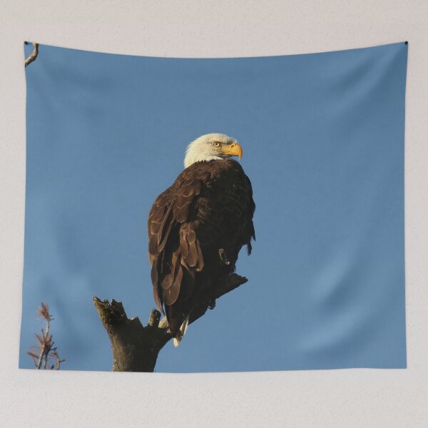 Item preview, Elegant eagle designed and sold by locustgirl.