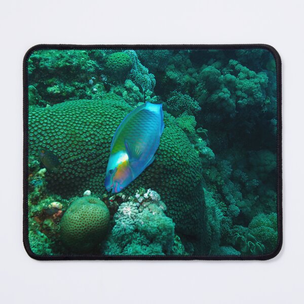 Item preview, Coral Reef and Fish designed and sold by likbatonboot.