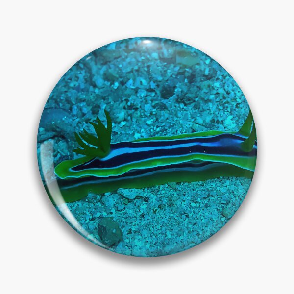 Item preview, Chromodoris Magnifica designed and sold by likbatonboot.
