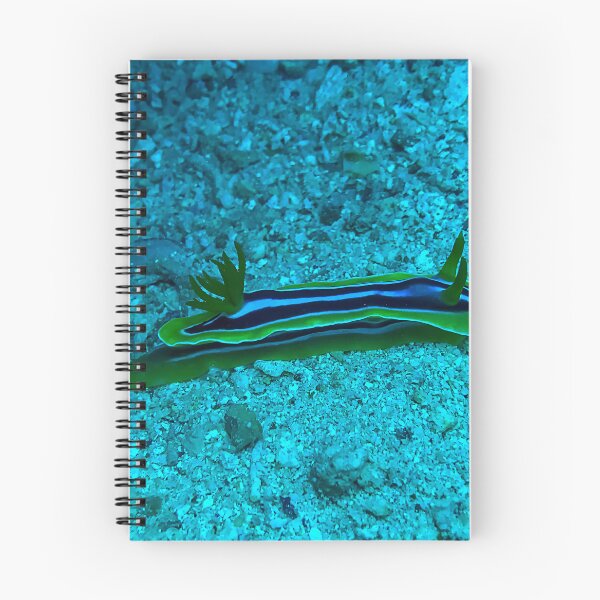 Item preview, Chromodoris Magnifica designed and sold by likbatonboot.