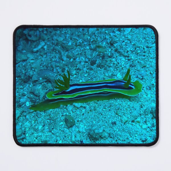 Item preview, Chromodoris Magnifica designed and sold by likbatonboot.