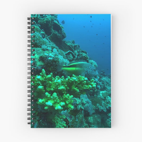 Item preview, Coral Reef and Fish designed and sold by likbatonboot.