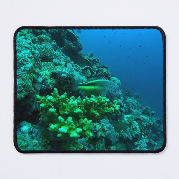 Item preview, Coral Reef and Fish designed and sold by likbatonboot.