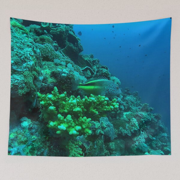 Item preview, Coral Reef and Fish designed and sold by likbatonboot.