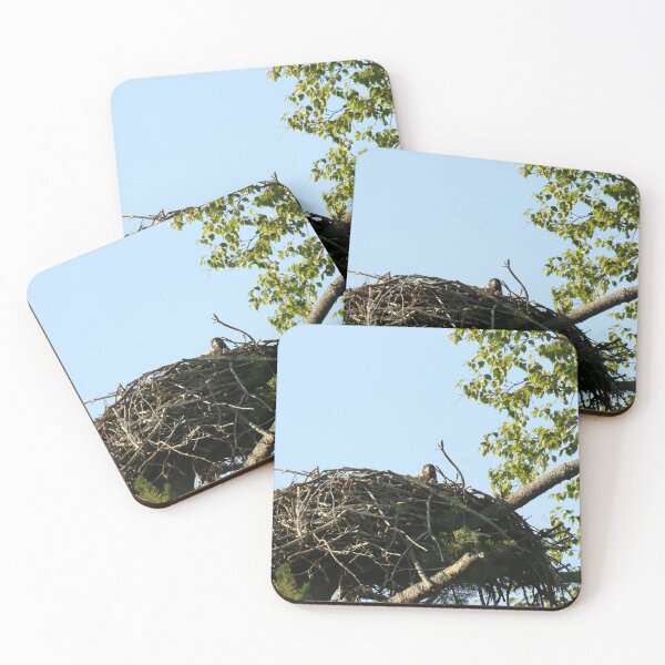 Item preview, Baby eagle in nest designed and sold by locustgirl.