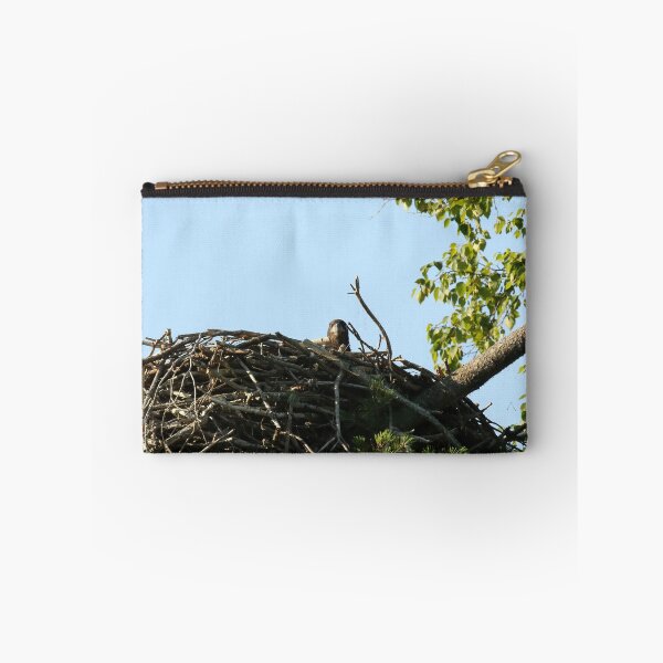 Item preview, Baby eagle in nest designed and sold by locustgirl.