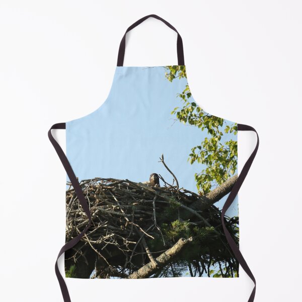 Item preview, Baby eagle in nest designed and sold by locustgirl.