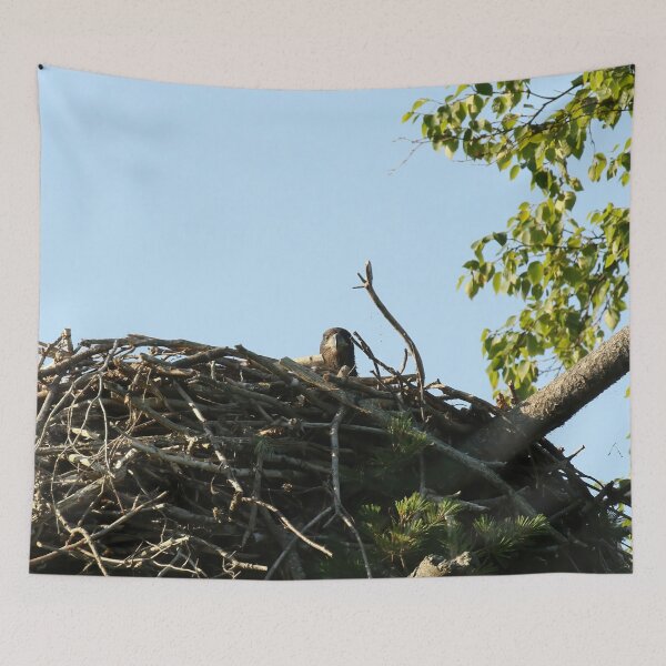 Item preview, Baby eagle in nest designed and sold by locustgirl.