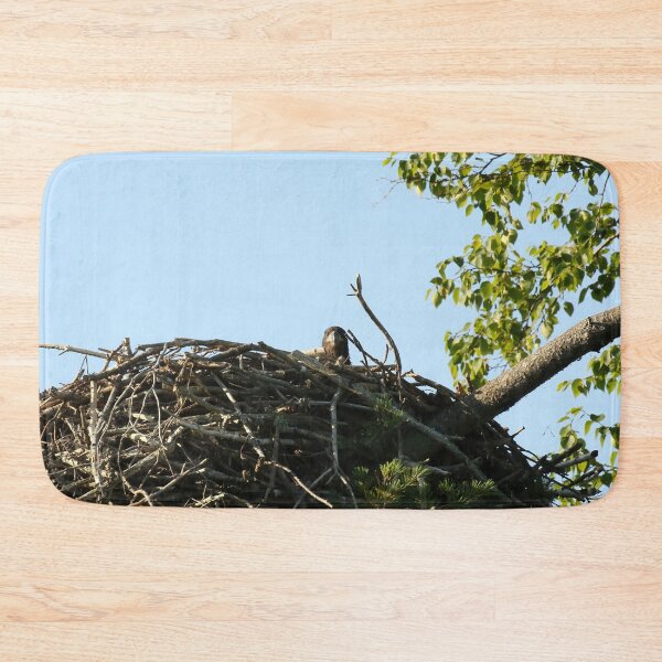 Item preview, Baby eagle in nest designed and sold by locustgirl.