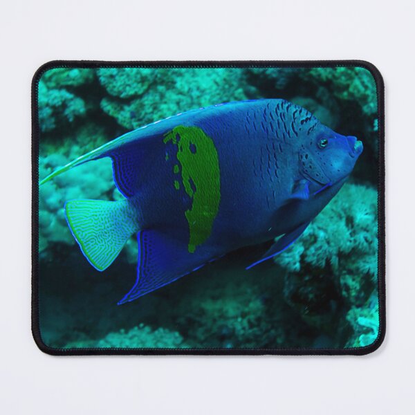 Item preview, Angelfish designed and sold by likbatonboot.