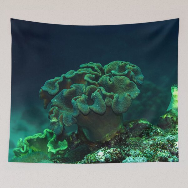 Item preview, Leather Coral designed and sold by likbatonboot.