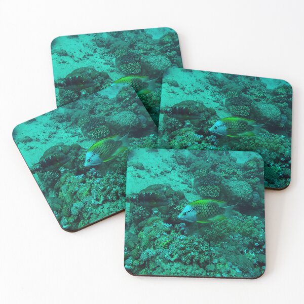 Item preview, Coral Reef and Fish designed and sold by likbatonboot.