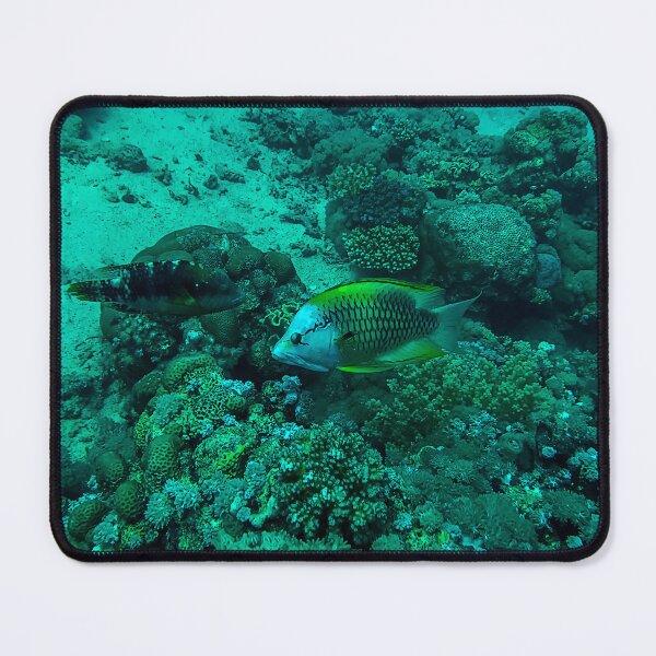 Item preview, Coral Reef and Fish designed and sold by likbatonboot.