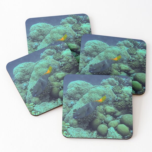 Item preview, Coral Reef and Fish designed and sold by likbatonboot.