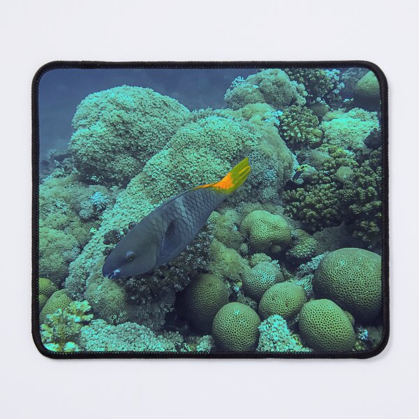 Item preview, Coral Reef and Fish designed and sold by likbatonboot.
