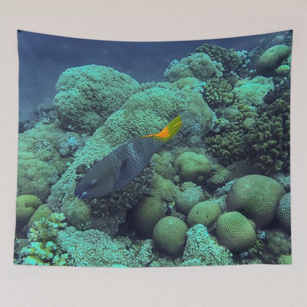 Item preview, Coral Reef and Fish designed and sold by likbatonboot.
