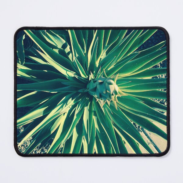 Item preview, Phoenix AZ Country Club Park  1b designed and sold by zwrr16.