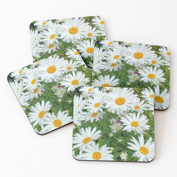Item preview, Ox-eye Daisies in Summer Sunshine designed and sold by Violaman.