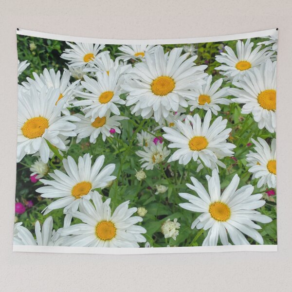 Item preview, Ox-eye Daisies in Summer Sunshine designed and sold by Violaman.
