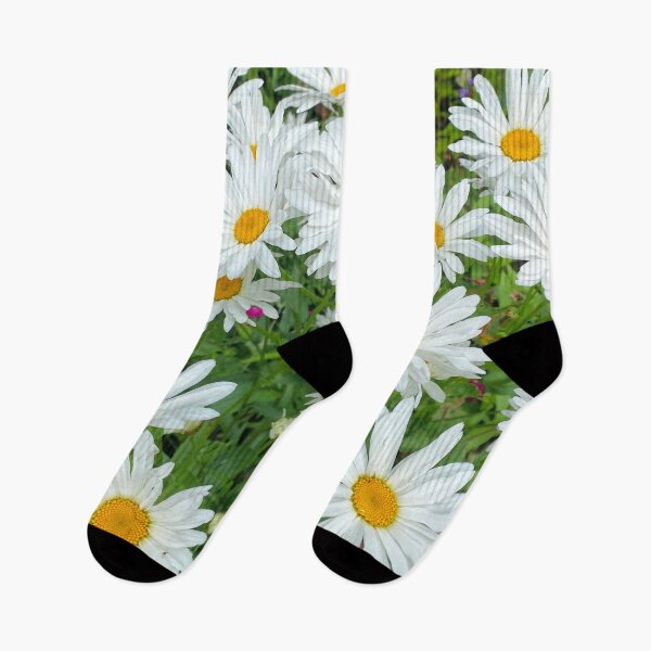 Item preview, Ox-eye Daisies in Summer Sunshine designed and sold by Violaman.