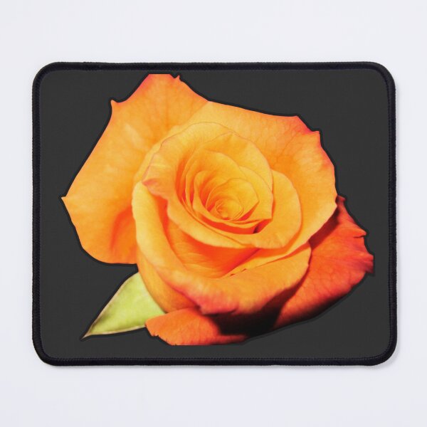 Item preview, Orange Rose T-shirt  designed and sold by TomikoKH19.