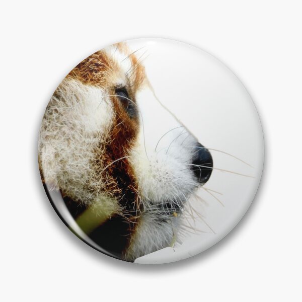 Item preview, Contemplative Red Panda designed and sold by Photomainia.