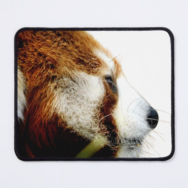 Item preview, Contemplative Red Panda designed and sold by Photomainia.