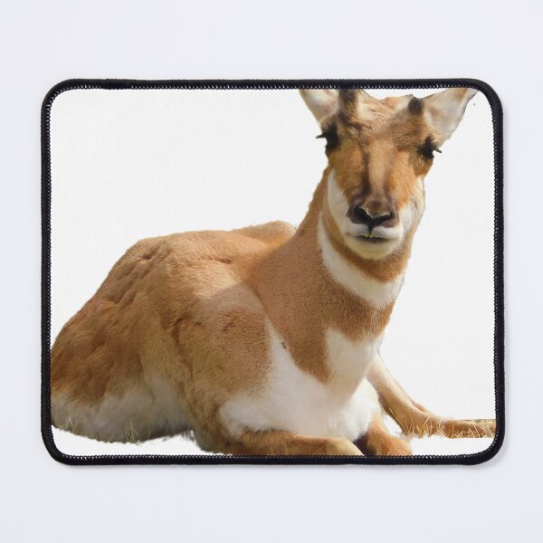 Item preview, Prong Horn designed and sold by Photomainia.