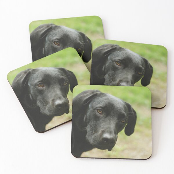 Item preview, Black retriever sneaking into picture designed and sold by riku05830.