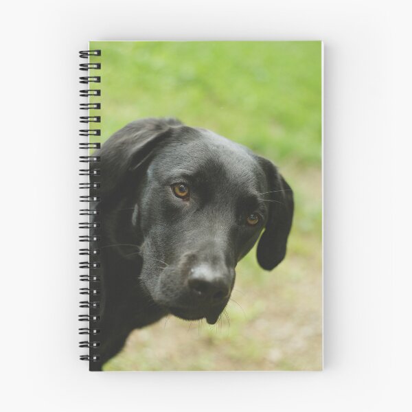 Item preview, Black retriever sneaking into picture designed and sold by riku05830.