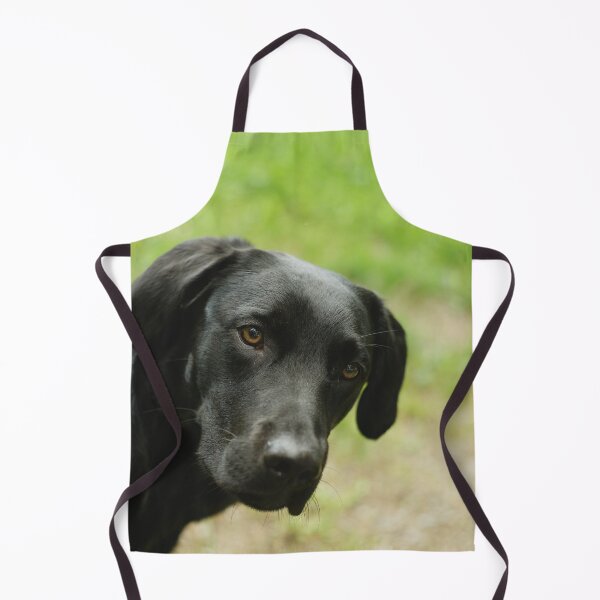 Item preview, Black retriever sneaking into picture designed and sold by riku05830.