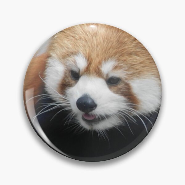Item preview, Hello Panda designed and sold by Photomainia.