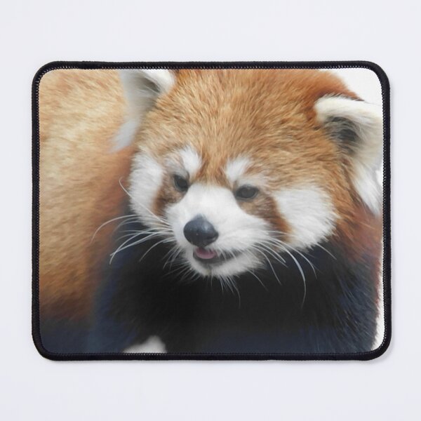Item preview, Hello Panda designed and sold by Photomainia.