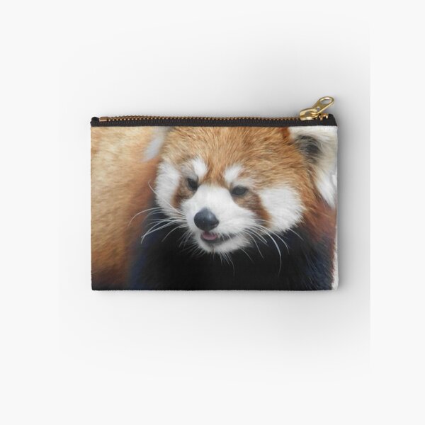 Item preview, Hello Panda designed and sold by Photomainia.