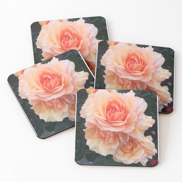 Item preview, Pink Orange single rose photograph  designed and sold by esvb.