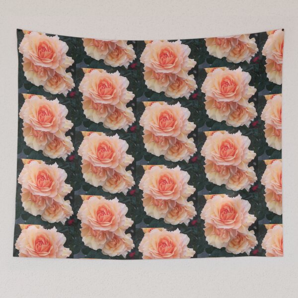 Item preview, Pink Orange single rose photograph  designed and sold by esvb.