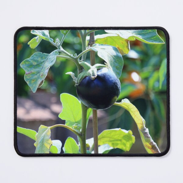 Item preview, Purple Eggplant designed and sold by Cynthia48.