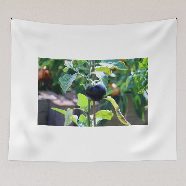 Item preview, Purple Eggplant designed and sold by Cynthia48.