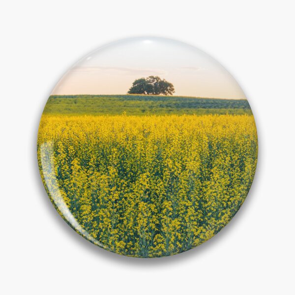 Item preview, Field of Blooming Canola at Sunset in Alberta designed and sold by Amy Mitchell.