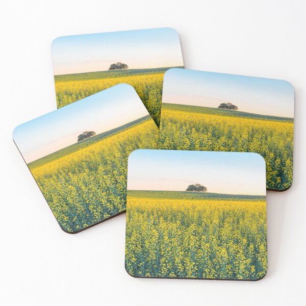 Item preview, Field of Blooming Canola at Sunset in Alberta designed and sold by Amy Mitchell.