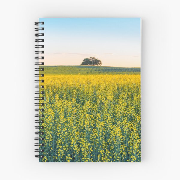 Item preview, Field of Blooming Canola at Sunset in Alberta designed and sold by Amy Mitchell.