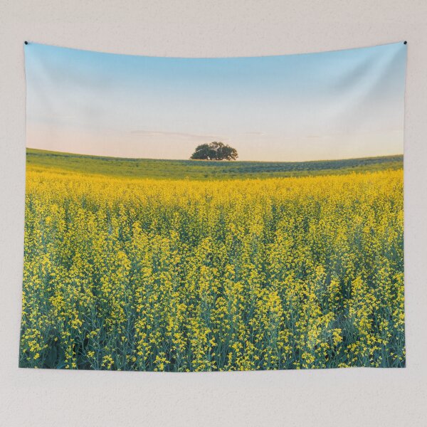 Item preview, Field of Blooming Canola at Sunset in Alberta designed and sold by Amy Mitchell.