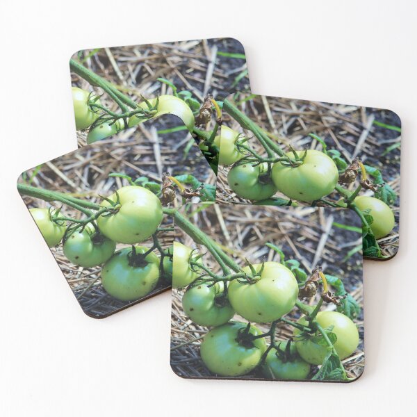 Item preview, Green Tomato Vine designed and sold by Cynthia48.