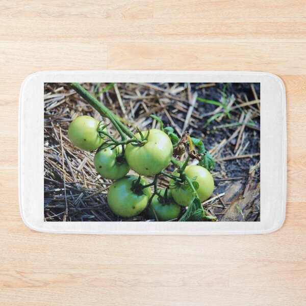 Item preview, Green Tomato Vine designed and sold by Cynthia48.