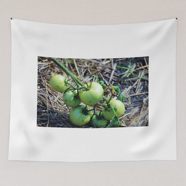 Item preview, Green Tomato Vine designed and sold by Cynthia48.