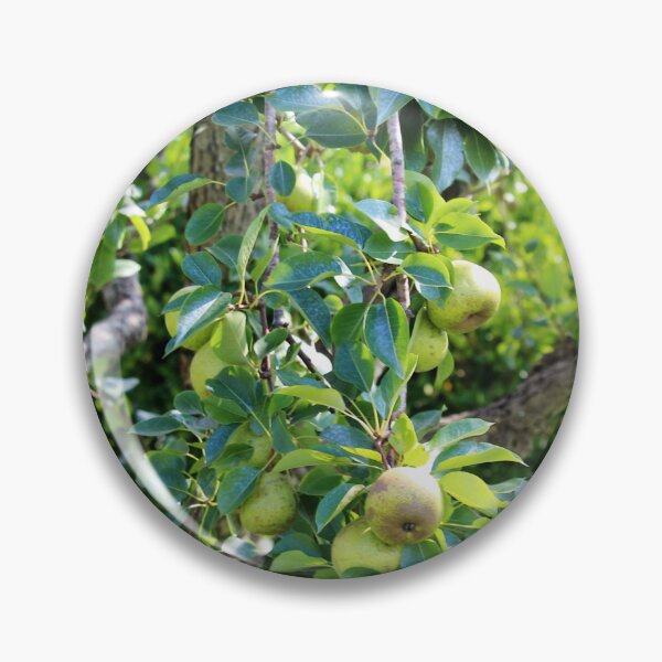 Item preview, Pear Tree designed and sold by Cynthia48.