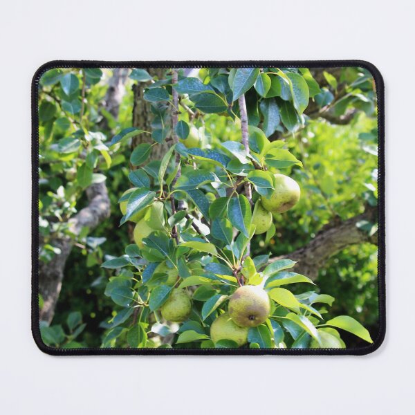 Item preview, Pear Tree designed and sold by Cynthia48.