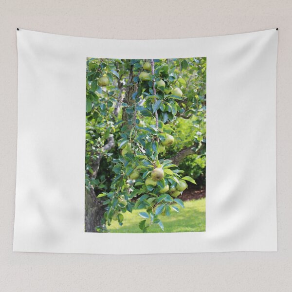 Item preview, Pear Tree designed and sold by Cynthia48.