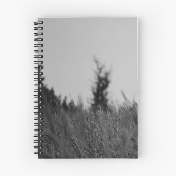 Item preview, In the fields designed and sold by 999Devil999.