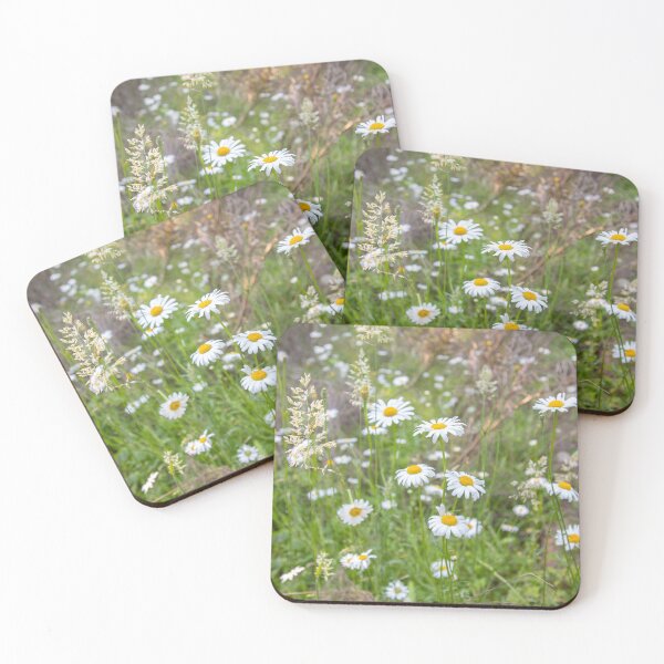 Item preview, Wild Forest Daisies designed and sold by Ernie Steven Dickey.